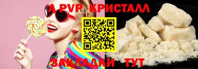 шишки Гатчина