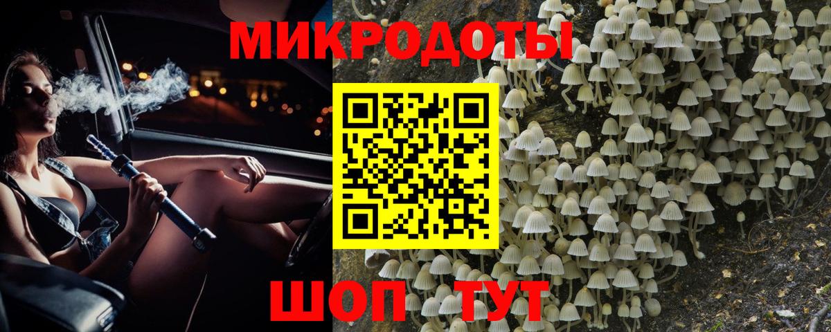 Псилоцибиновые грибы мицелий Заринск