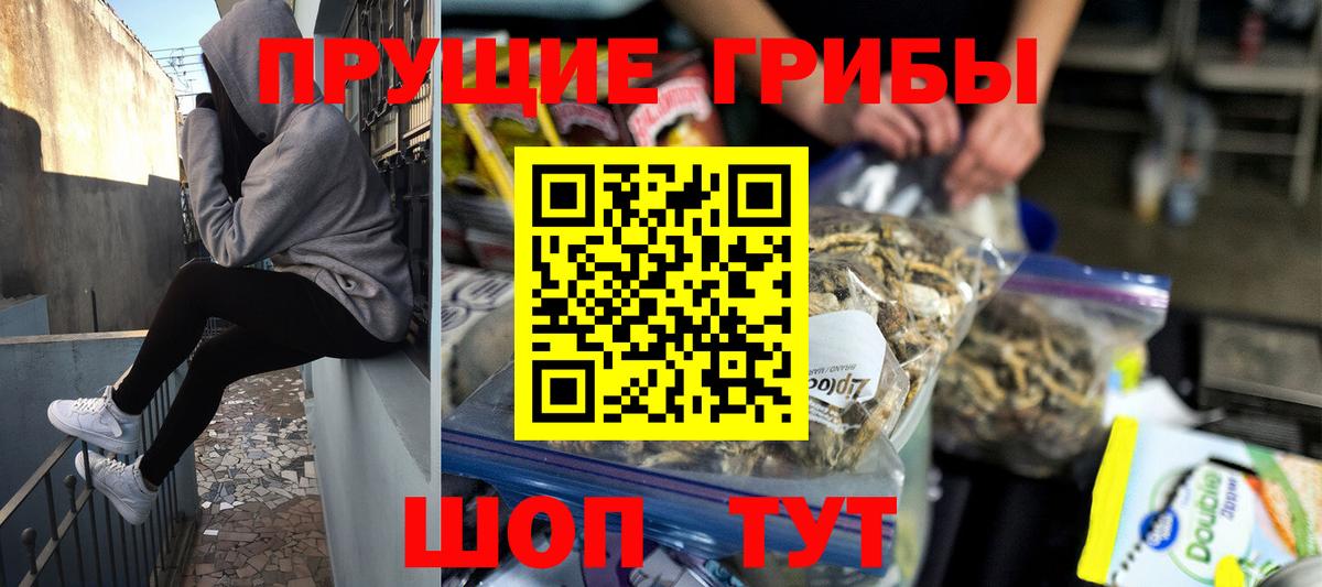 Заринск  Псилоцибиновые грибы ЛСД  Вход с VPN  Галлюциногенные грибы Cubensis 