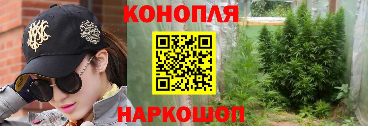 Конопля план  Каннабис VHQ  Заринск  МАРИХУАНА ГИДРОПОН  Вход с VPN 